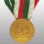 Medaglia d'Oro al Merito Civile